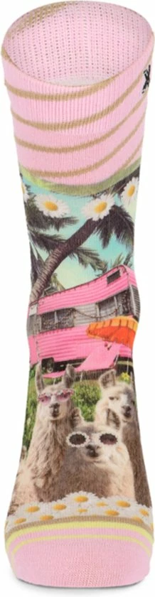 Beste recensies van π XPooos | Dames Sokken | Happy Camper π 4 Beste recensies van π XPooos | Dames Sokken | Happy Camper π - Afbeelding 2