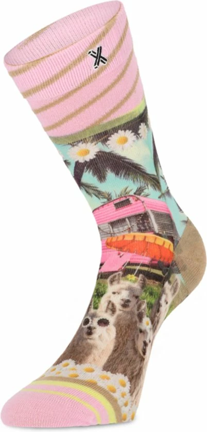 Beste recensies van π XPooos | Dames Sokken | Happy Camper π 9 Beste recensies van π XPooos | Dames Sokken | Happy Camper π - Afbeelding 7