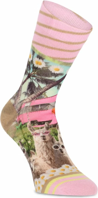 Beste recensies van π XPooos | Dames Sokken | Happy Camper π 8 Beste recensies van π XPooos | Dames Sokken | Happy Camper π - Afbeelding 6