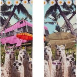 Beste recensies van 👍 XPooos | Dames Sokken | Happy Camper 🎉