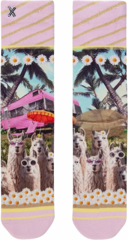 Beste recensies van π XPooos | Dames Sokken | Happy Camper π 3 Beste recensies van π XPooos | Dames Sokken | Happy Camper π