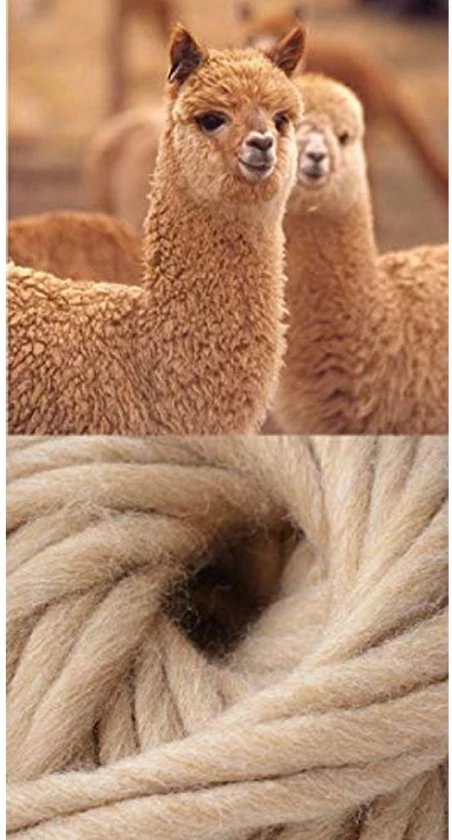 Begroting 🔥 GoWith-wollen Sokken-alpaca Sokken-huissokken-2 Paar-warme Sokken-wintersokken-thermosokken-huissokken-grijs-antraciet-maat 39-42 🎉 6 Begroting 🔥 GoWith-wollen Sokken-alpaca Sokken-huissokken-2 Paar-warme Sokken-wintersokken-thermosokken-huissokken-grijs-antraciet-maat 39-42 🎉 - Afbeelding 4