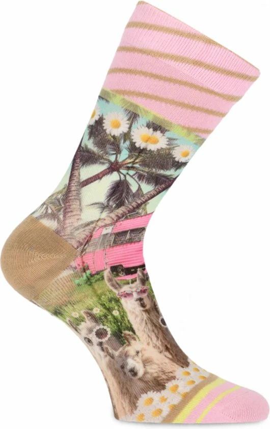 Beste recensies van π XPooos | Dames Sokken | Happy Camper π 5 Beste recensies van π XPooos | Dames Sokken | Happy Camper π - Afbeelding 3