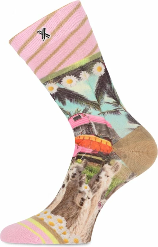 Beste recensies van π XPooos | Dames Sokken | Happy Camper π 7 Beste recensies van π XPooos | Dames Sokken | Happy Camper π - Afbeelding 5