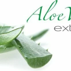 Goedkoop ⭐ Gabriella Push Up Panty 20DEN, Kleur Beige, Maat 4-L 🤩 18 Goedkoop ⭐ Gabriella Push Up Panty 20DEN, Kleur Beige, Maat 4-L 🤩 -Beenmode Winkel 550x288