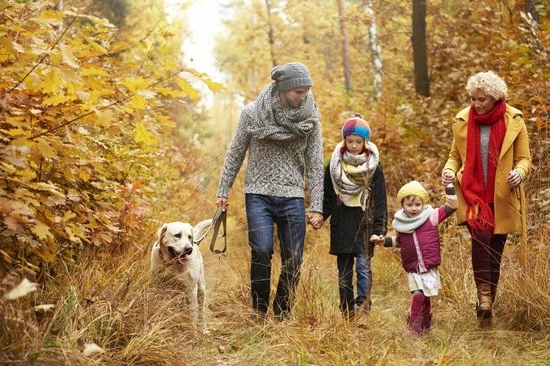 Begroting π Merkloos Heat Essentials - Thermo Sokken - Warme Sokken - Huissokken - Dikke Sokken - 6 Paar - Assorted - 39-42 π― 5 Begroting π Merkloos Heat Essentials - Thermo Sokken - Warme Sokken - Huissokken - Dikke Sokken - 6 Paar - Assorted - 39-42 π― - Afbeelding 3