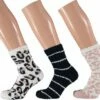 Kopen π Apollo 3-Pak Dames Fluffy Bedsokken/huissokken Animal/stripe Maat 36-41 π 1 Kopen π Apollo 3-Pak Dames Fluffy Bedsokken/huissokken Animal/stripe Maat 36-41 π -Beenmode Winkel 550x415 1
