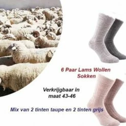 Hete verkoop 🧨 Boru Bamboo 6 Paar Lams Wollen Sokken Maat 43/45 In Zwart Kleur 🥰