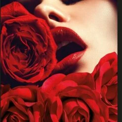 Hete verkoop 👏 Sock My Feet - Passion - Damessokken – Katoen – Geprinte Sok 36/38 ✨ -Beenmode Winkel 550x566 1