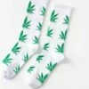 Beste deal โ Merkloos Wietsokken - Cannabissokken - Wiet - Cannabis - Wit-groen - Unisex Sokken - Maat 36-45 ๐ฏ 2 Beste deal โ Merkloos Wietsokken - Cannabissokken - Wiet - Cannabis - Wit-groen - Unisex Sokken - Maat 36-45 ๐ฏ -Beenmode Winkel 550x625 1