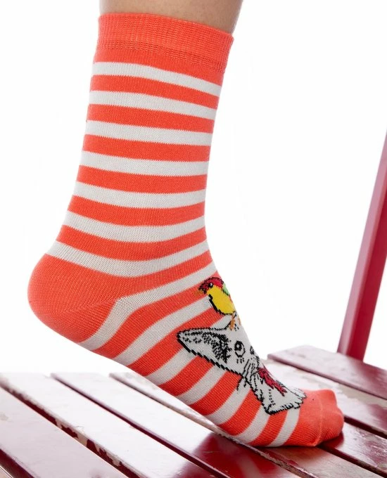 Beste deal 🌟 Merkloos Shiva Mode Katten Huisdier Sokken Giftbox | 4 Pack | Maat 36-40 | Vrolijke Ontwerp | Naadloos | Gift - Cadeau 🎉 7 Beste deal 🌟 Merkloos Shiva Mode Katten Huisdier Sokken Giftbox | 4 Pack | Maat 36-40 | Vrolijke Ontwerp | Naadloos | Gift - Cadeau 🎉 - Afbeelding 5