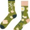Hete verkoop 🌟 Good Mood Sokken - Kamille Thee - Maat 43-46 🎉 -Beenmode Winkel 550x699 1