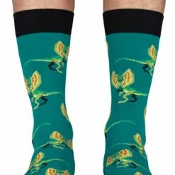 Top 10 π₯° Jimmy Lion Jurassic World Giftbox 4P Multi (Jurassic World) - 41-46 π― 12 Top 10 π₯° Jimmy Lion Jurassic World Giftbox 4P Multi (Jurassic World) - 41-46 π― -Beenmode Winkel 550x780 1